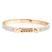 Paggenc Armreif Rose