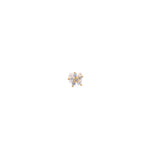 Joldon Piercing Gold