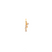 Sadoni Piercing Horoscope - Wassermann Gold