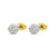 Rucer Ohrringe Gold