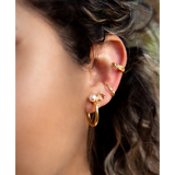 Rosaline Hoops
